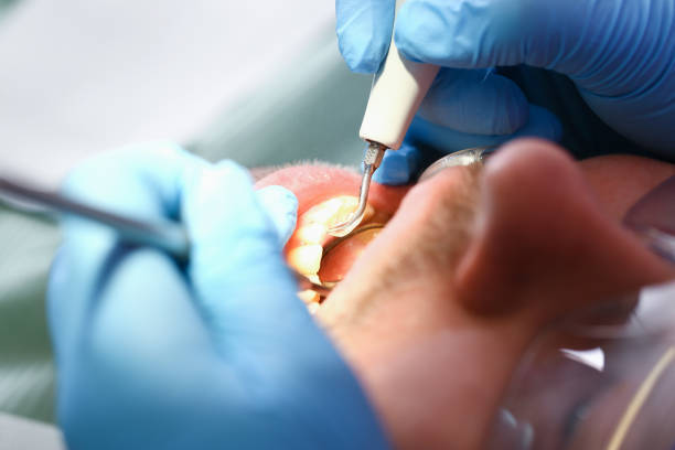 Best Emergency Orthodontic Services in Martinsvle, IL